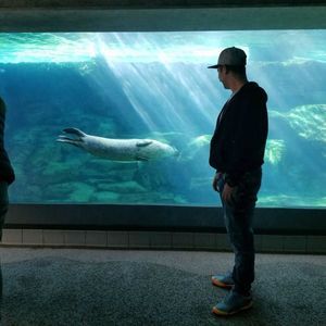 Meet your Posher, Omar